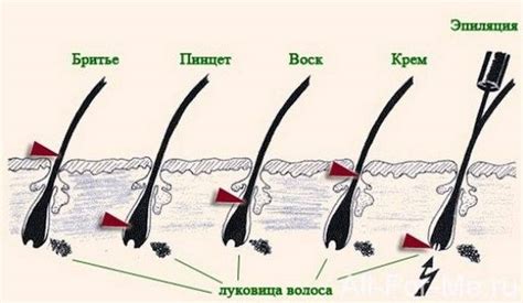 Брить волосы по направлению роста: преимущества и особенности