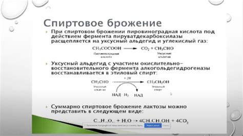 Брожение теста: понимание процесса брожения и его механизмов