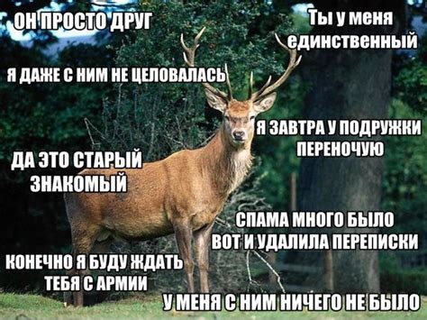 Будущее парня оленя