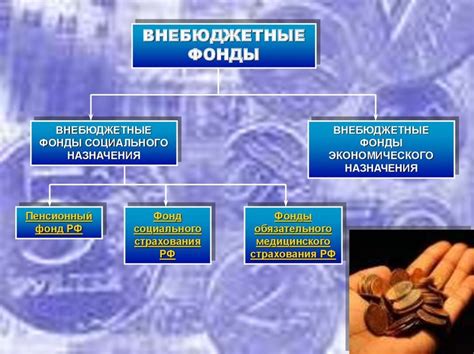 Бюджетные кредиты: понятие и суть