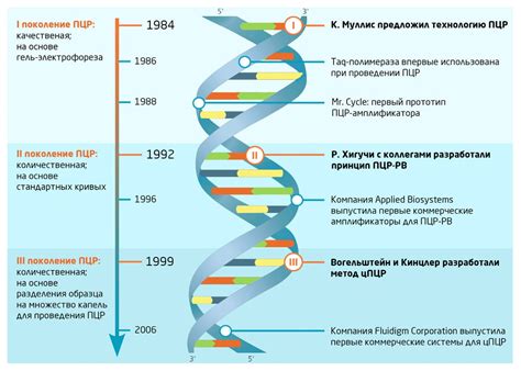 ВИЧ ПЦР: принцип и работа