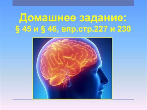 ВПР головного мозга: слова, которые можно вместить в память