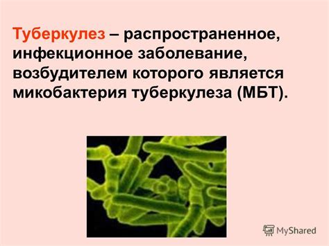 ВПЧ: распространенное инфекционное заболевание