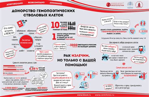 Важная информация о становлении донором костного мозга