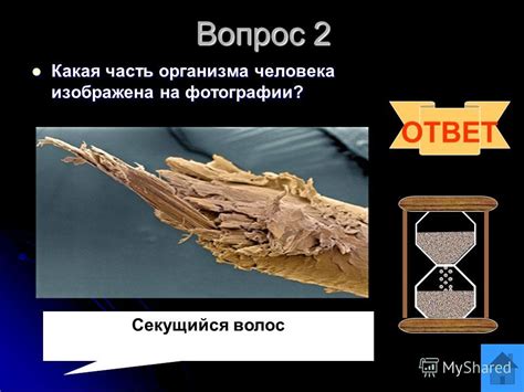 Важная роль и особенности понимания снов о заботе о белье