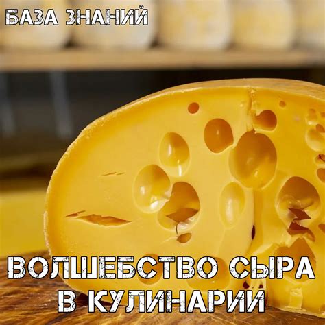 Важная роль сыра в кулинарии