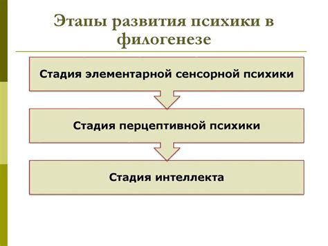 Важное значение и развитие собственной психики через анализ и осмысление сновидений