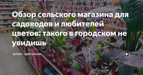 Важное значение огородного участка для садоводов и любителей сельского хозяйства