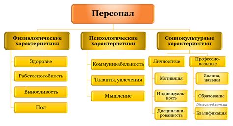 Важность административного персонала в организации