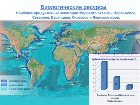 Важность акватории моря