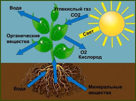 Важность весны для человека