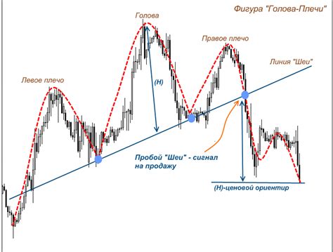 Важность головы и плеч в техническом анализе