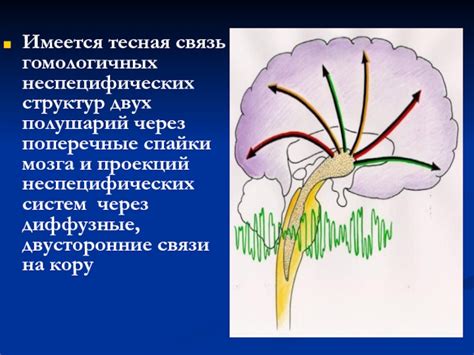 Важность деятельности неспецифических структур мозга