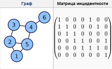 Важность изучения инцидентности графов в разных областях