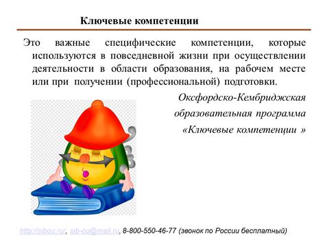 Важность информационной компетенции в повседневной жизни