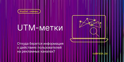 Важность использования UTM referrer