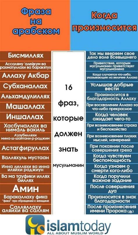 Важность и актуальность выражения "Лери гоу" в повседневной жизни