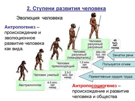 Важность и вклад обычного человека в развитие общества