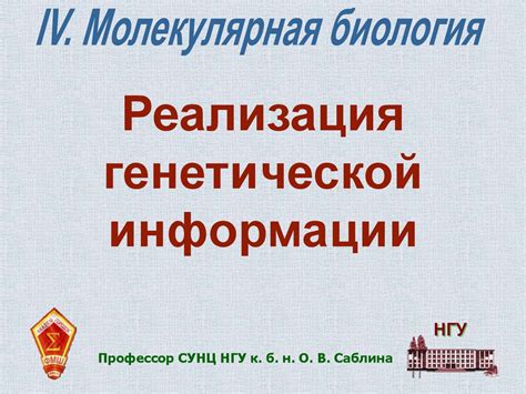 Важность кодирования белков: основная роль генетической информации