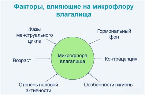 Важность коккобациллярной флоры