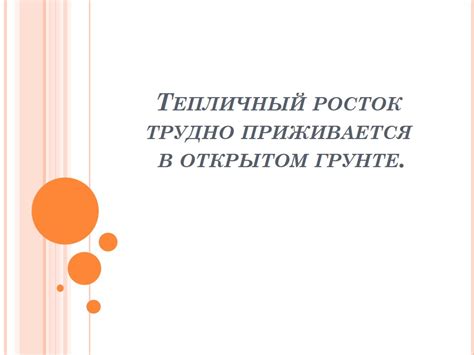 Важность корпоративных мероприятий в формировании доверительных отношений в коллективе