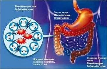 Важность микрофлоры для здоровья женщин