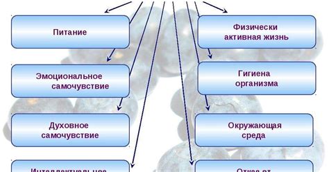 Важность минералов для работы мозга в сочетании с витаминами