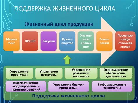 Важность оператора информационной системы для успешного функционирования