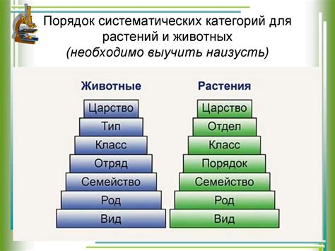 Важность определения систематических категорий