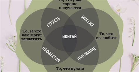 Важность определения смысла жизни