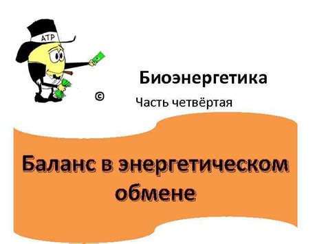 Важность подготовительного этапа в энергетическом обмене