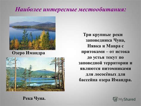 Важность понимания истока и устья для оценки географических особенностей