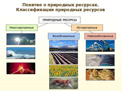 Важность правильного использования ресурсов