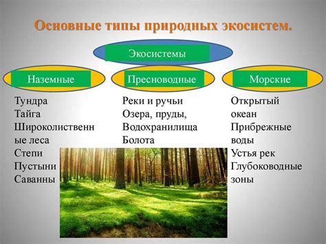 Важность преобразования для экосистемы