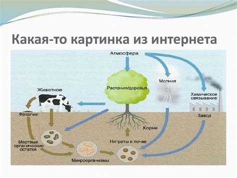 Важность разреженного азота