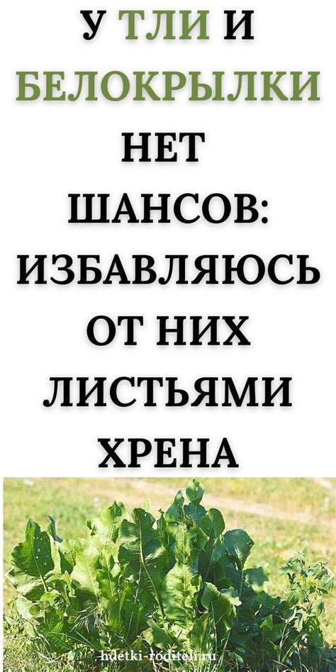 Важность растительной диктовки благодаря свойствам листьев