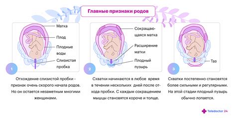 Важность родовых признаков