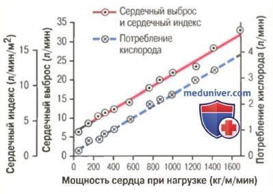 Важность сердечного выброса для органов и тканей