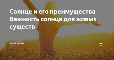 Важность солнца для организма