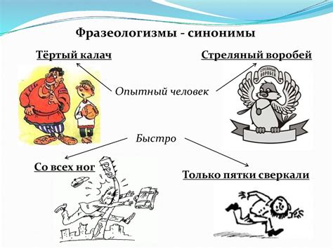 Важность сохранения и использования фразеологизмов в языке