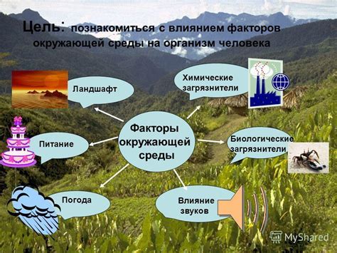 Важность сохранения и охраны лесных ресурсов