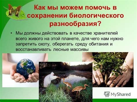 Важность сохранения флоры для экосистемы и человека