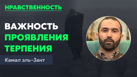 Важность терпения и последовательности: