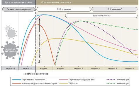 Важность точности результатов RealBest РНК SARS-CoV-2 RT-PCR