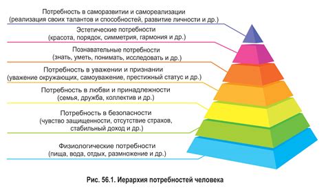 Важность удовлетворения потребностей человека для развития бизнеса