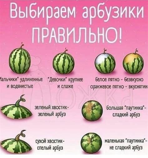 Важность учета сезона и региона: как выбрать арбуз для ребенка?