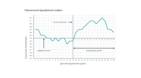 Важность цикла ановуляторного