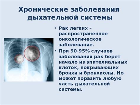 Важность эпителиальных клеток для дыхательной системы