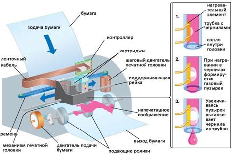 Важность drum у принтера