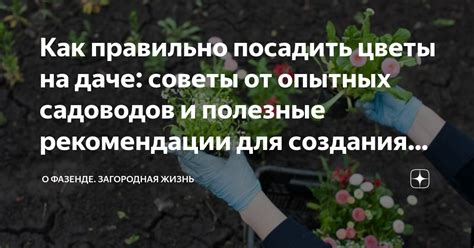 Важные советы и полезные рекомендации для толкования снов о завораживающем растении жасмина